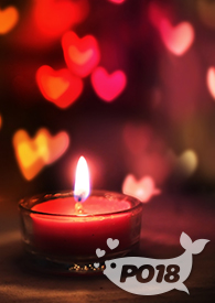 穿成哨向世界的万人迷